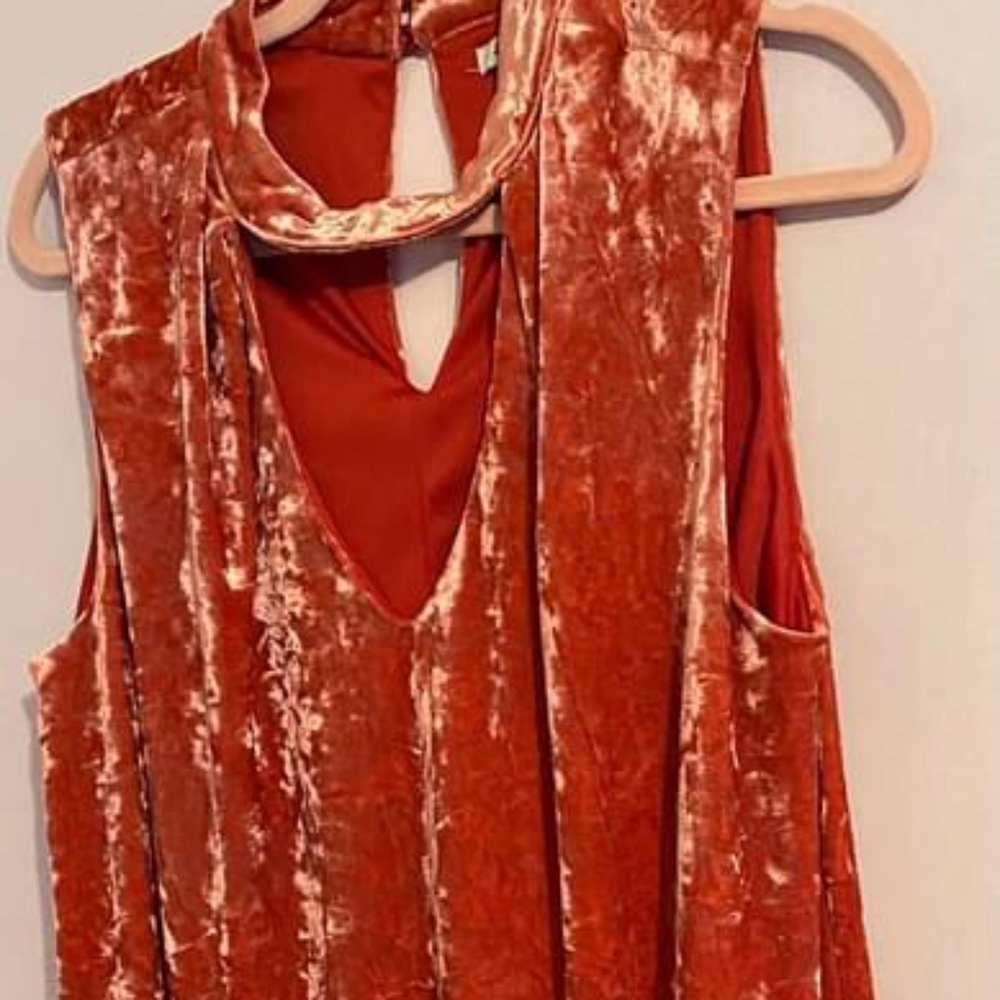 Lily Star Burnt Orange Velvet Dress